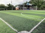 Olive Bi Color Football Artificial Turf PE Composition FIFA