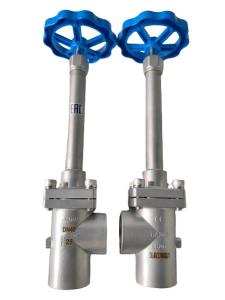 China SW SS304 Cryogenic Long Stem Angle Globe Valve For LNG/LCO2/LN2 factory