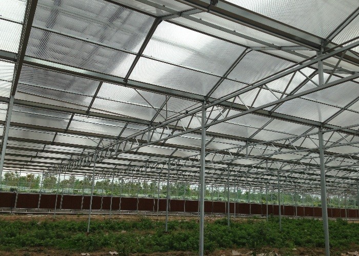 9.6m Span Venlo Pc Sheet Greenhouse Galvanized Steel Framework Green House Used For Agricuture