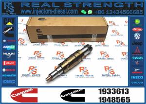 China Diesel Common Rail Fuel Injector 1933613 Compatible factory