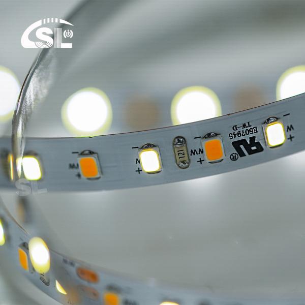 240leds 8mm 12V 24V UL Listed Dual Color COB SMD2835 LED Strip Light for