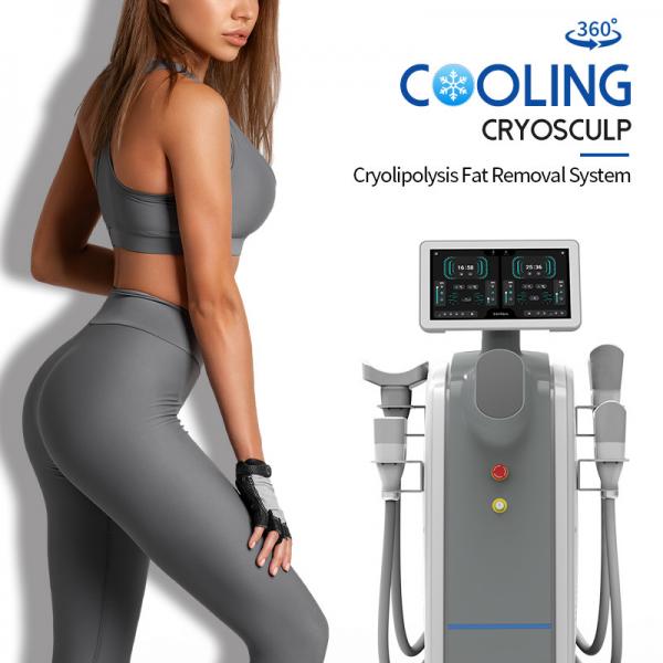 China Cryolipolysis Machine Fat Freezing Slimming Machine 5 Handles 360 cryo fat reduction factory