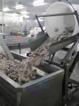 Multifunctional Shrimp Processing Machine Anti Corrosion Stable