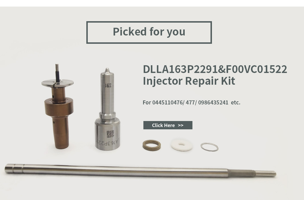 DLLA163P2291 Common Rail Nozzle For Injector 0445110476/477 0986435241