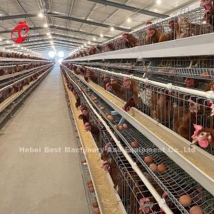 China High Resilience Layer Cage System Hot Galvanized Low Carbon Steel In Africa Adela factory