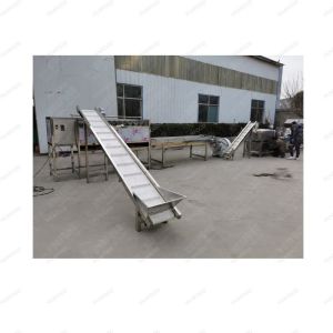 Peach And Mango Sorting Machine Fully Automatic Fruit And Vegetable Grading
