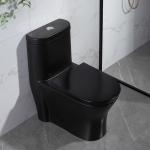 300mm Siphonic One Piece Toilet American Standard Black Porcelain