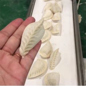 rat dumpling machine, automatic dumpling machine