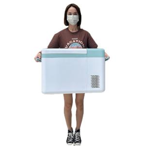 China CE/ISO9001 Certificate 25L -86 Celsius Stirling Cooler Laboratory Deep Freezer Refrigerator factory