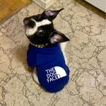 Amazon Hot Selling Dog Clothes Multi-Size Pet Hoodies Luxury Winter Warm Apparel