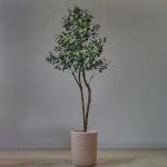 150Cm Artificial Potted Floor Plants Eucalyptus Minimalist Ornaments Bonsai