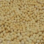 Common Refractoriness 1580° Refractoriness 1770° 2023 MgO Content 1.2%