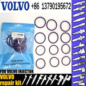 China Stania Engine VOL Repair Kit factory