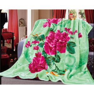 China 3D Blankets Manufacture Custom Wholesale Super Soft Polyester Blanket on sale