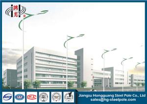 China Q345 Steel Light Pole Single Arm 8M Lamp Post For Garden With Colorful Painting factory