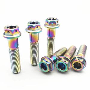 Custom Screw Titanium Fasteners Colorful With High Quality And Good Price