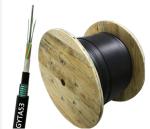 Multimode G652D Armored 48 Core Fiber Optic Cable GYTA53