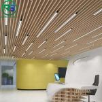 Sound Proof Artistic Aluminum Ceiling Tiles Unique Perforated Metal Ceiling