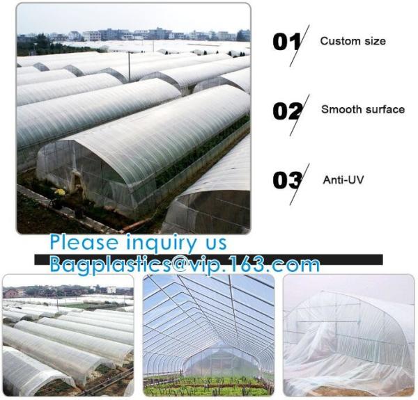 200 Micron Uv Resistant Film Greenhouse Perforated Mulch Agricultural Film