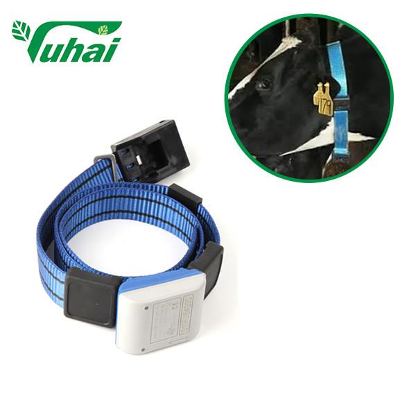 Plastic Cow Collar Step Belt Provides Animals Walk Data Animals Woven Belt For