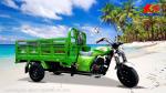 250W Three Wheel Cargo Motorcycle for Cargo 150CC Air Cooling Cargo Tricycle