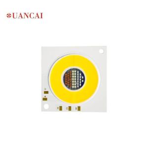 China Diving light Cob Led Rgbw factory