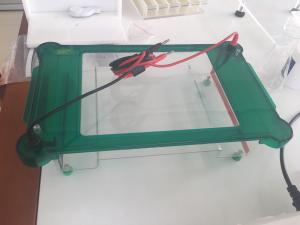 China Multipurpose Agarose Gel Electrophoresis Equipment ~1800ml Buffer Volume Jy-spgt factory