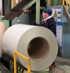 40 Years Warranty Coated RAL Color Pre-Painted Steel Coil For Z275 Galvanized