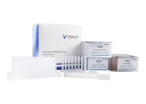 China DNA RNA Extraction Column Kit Nucleic Acid Extraction And Purification factory