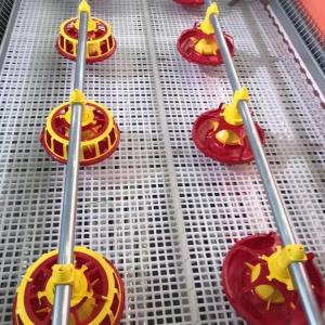 China Galvanized Pipe Poultry Farming Machine 10 Years Life Span factory