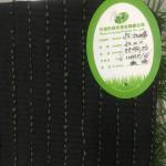 Outdoor Fake Grass Football Field For 11 People Standard Game Stadium