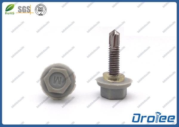 304/316/410 Stainless Plastic Coating Hex Washer Head Self Drilling Tek Screw w/