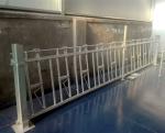 Flexible Cattle Headlock Feeder Cattle Farm Equipment All Sizes Available