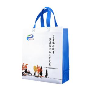 China Shopping PP Biodegradable Non Woven Bag Shrink Resistant factory