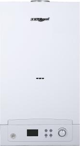 China 20kw Wall Hung Gas Instantaneous Water Heater Tankless Instant Boiler factory