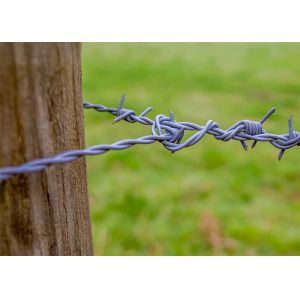 Electro-Galvanized Security Barbed Wire For Isolating And Protecting