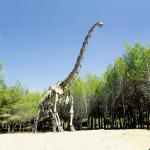 Realistic Dinosaur Skeleton Replica / Jurassic World Replica For Indoor