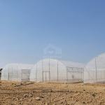 Roll Up Sides Ventilation Sustainable Hothouse High Tunnel Greenhouse for Farm