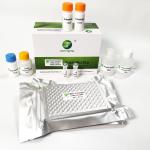 192 Wells/Kit Foot And Mouth Disease Virus Type O Antibody ELISA Kit