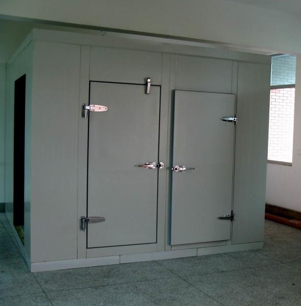 Ice Cream / Frozen Food Cold Storage Room With Swing Door , Copeland Scroll