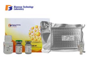 China 96 Wells Mouse ELISA Kit Apelin Sandwich 3.11pg/Ml Sensitivity 2-8°C Storage factory