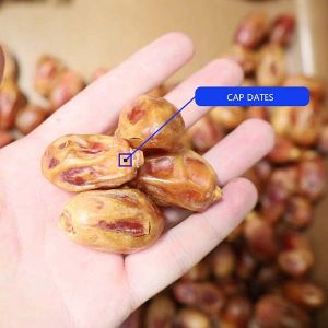 Advanced 8-Lane Palm Dates Sorting Machine 2.0 Tons Per Hour With MD Certificate