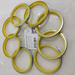Komatsu OEM Parts Seal Dust 417-09-11120 6736-11-3420 144-63-92170 For WA200