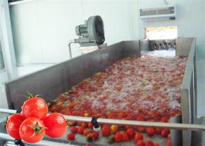 China Stainless Steel 380V Vegetable Processing Line Tomato Processing Equipment factory