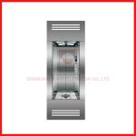1000kg Sound Insulation Passenger Elevator With Small Machine Room