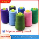 High Tenacity Sewing Thread tkt 120 100% Spun Polyester 40s/2 For Sewing Machine