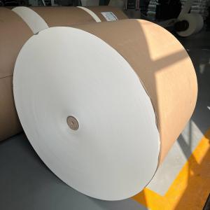 China Biodegradable PLA Coated Paper Roll 150 - 350 Gsm For Food Packaging Solutions factory
