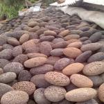 natural stone volcanic pumice lava stone for feet wholesaler