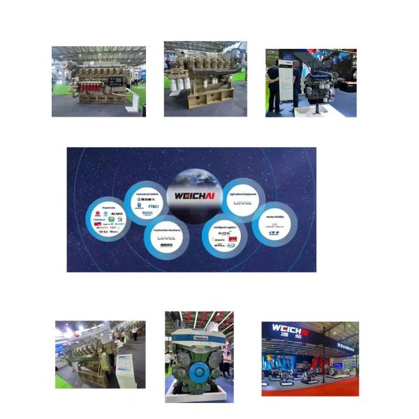 Weichai Baudouin Generator Set Fuel Filter 1008083935 Oil Filter 1003721586