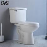 Porcelain Washdown Two Piece Toilet Bathroom Integrated Siphon Water Closet
